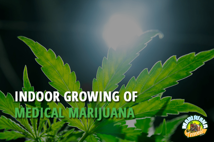 Indoor Growing Of Medical Marijuana