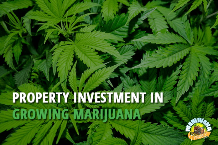 property investment in growing marijuana