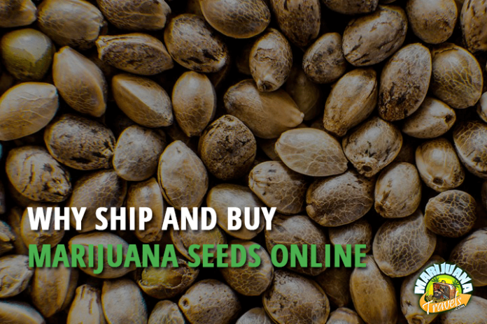 Why Ship and Buy Marijuana Seeds Online