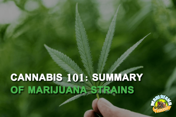 marijuana strain guide