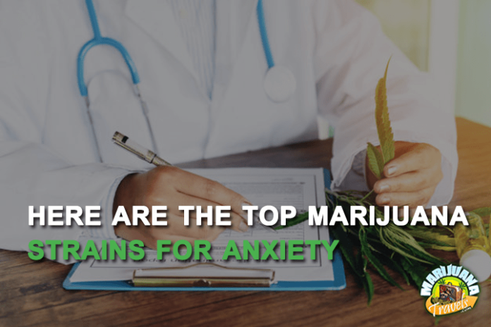 marijuana strains for anxiety