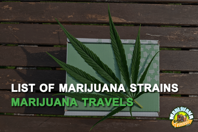 marijuana strain list