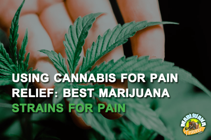 marijuana strains for pain