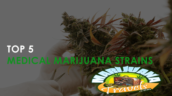 top 5 medical marijuana strains