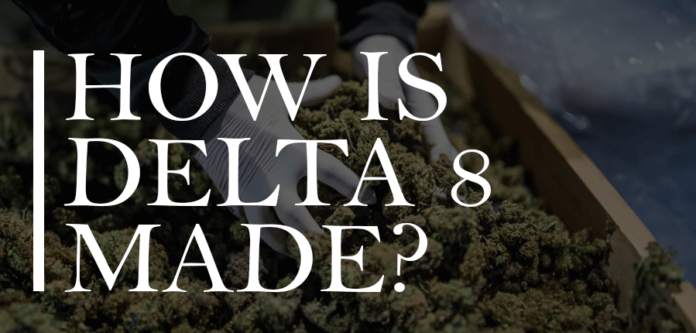 How Is Delta 8 THC Made