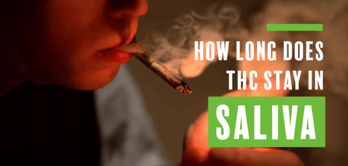 How Long Does THC Stay In Saliva