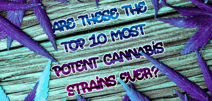 Most Potent Cannabis Strains